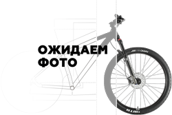 Горный велосипед WELT Raven 2.1 D 29 (2024)